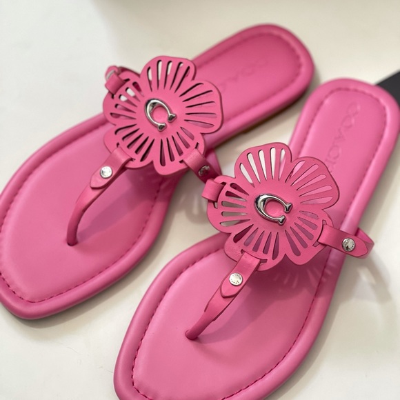 Coach Julia Sandal - Picture 5 of 16